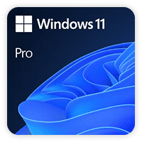 Windows 11 Pro