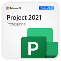 Project 2021 Professional